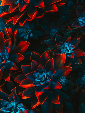 freelance artist floral 4