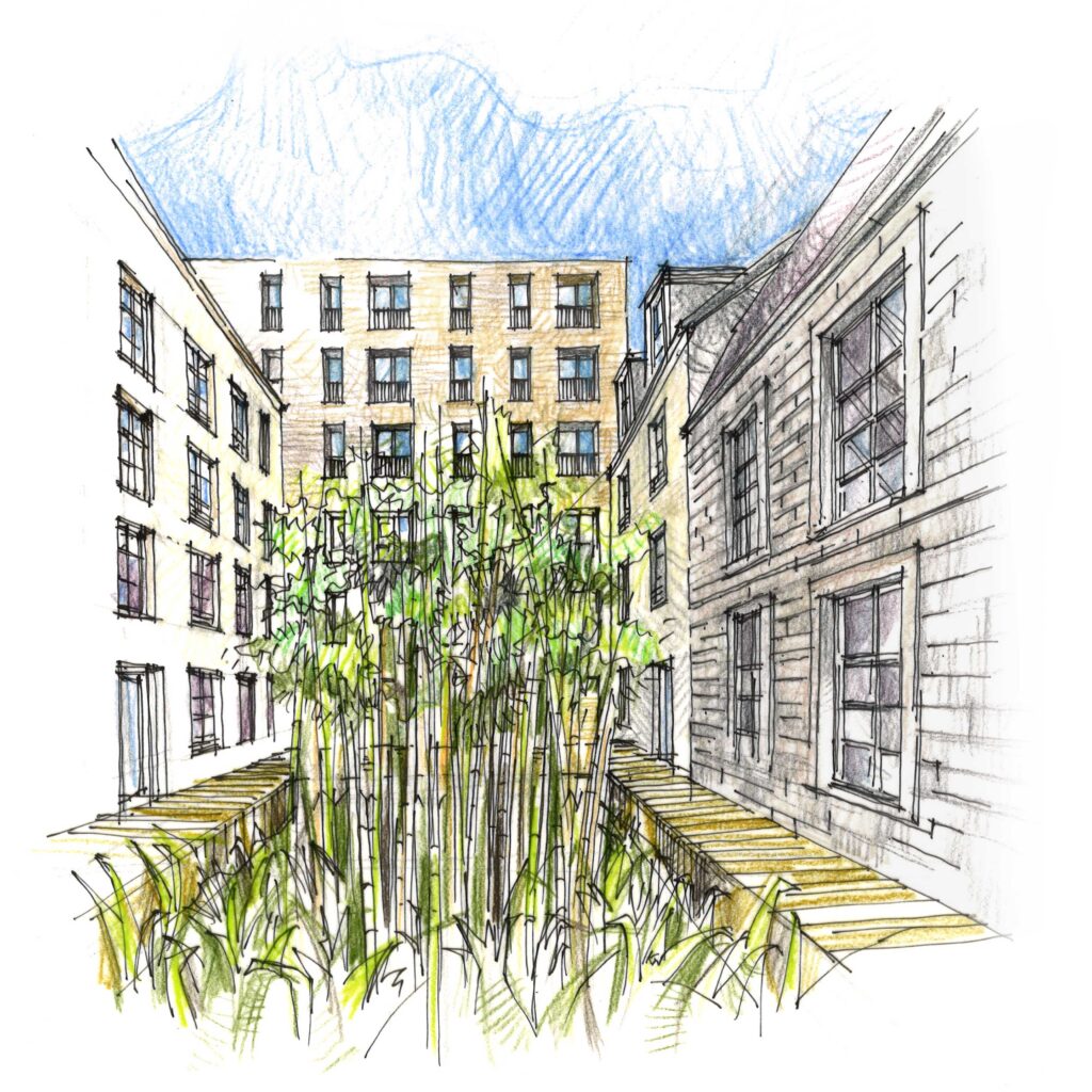 ara cour des bambousl