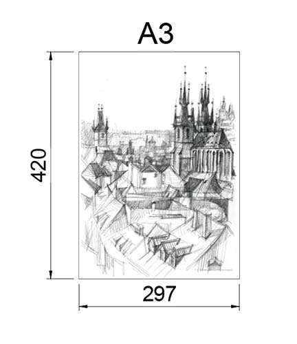 formats a3 s